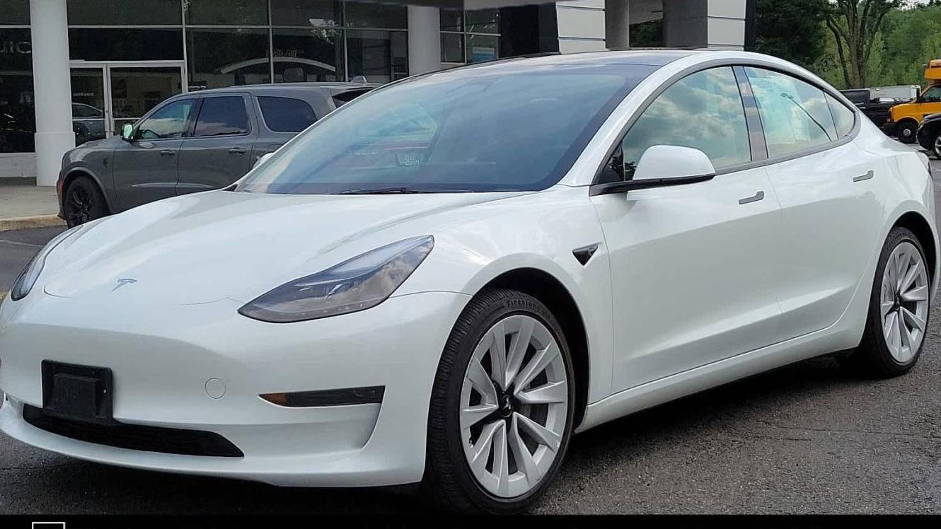 TESLA MODEL 3 2023 5YJ3E1EA1PF434672 image